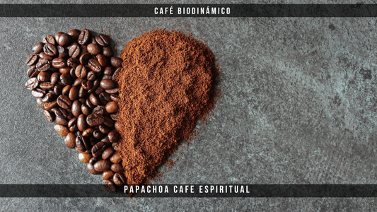 Cómo el café biodinámico mejora la calidad del grano y respeta la naturaleza