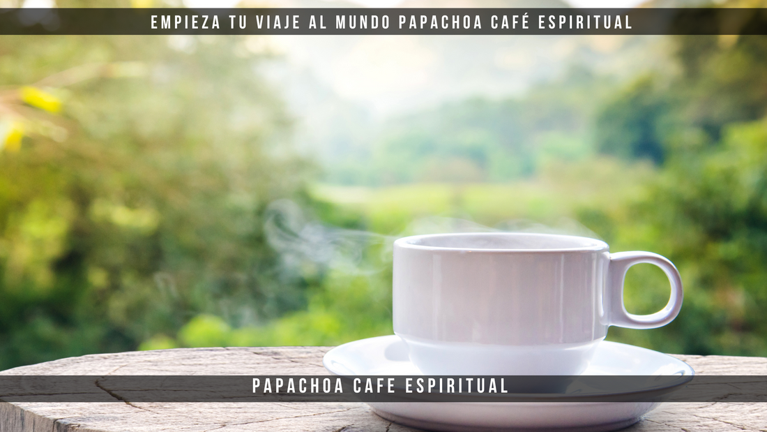 Haz tu primera compra en Papachoa: Calidad orgánica y biodinámica a un clic de distancia