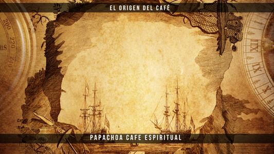 El origen del café: Un viaje por las raíces de tu taza diaria