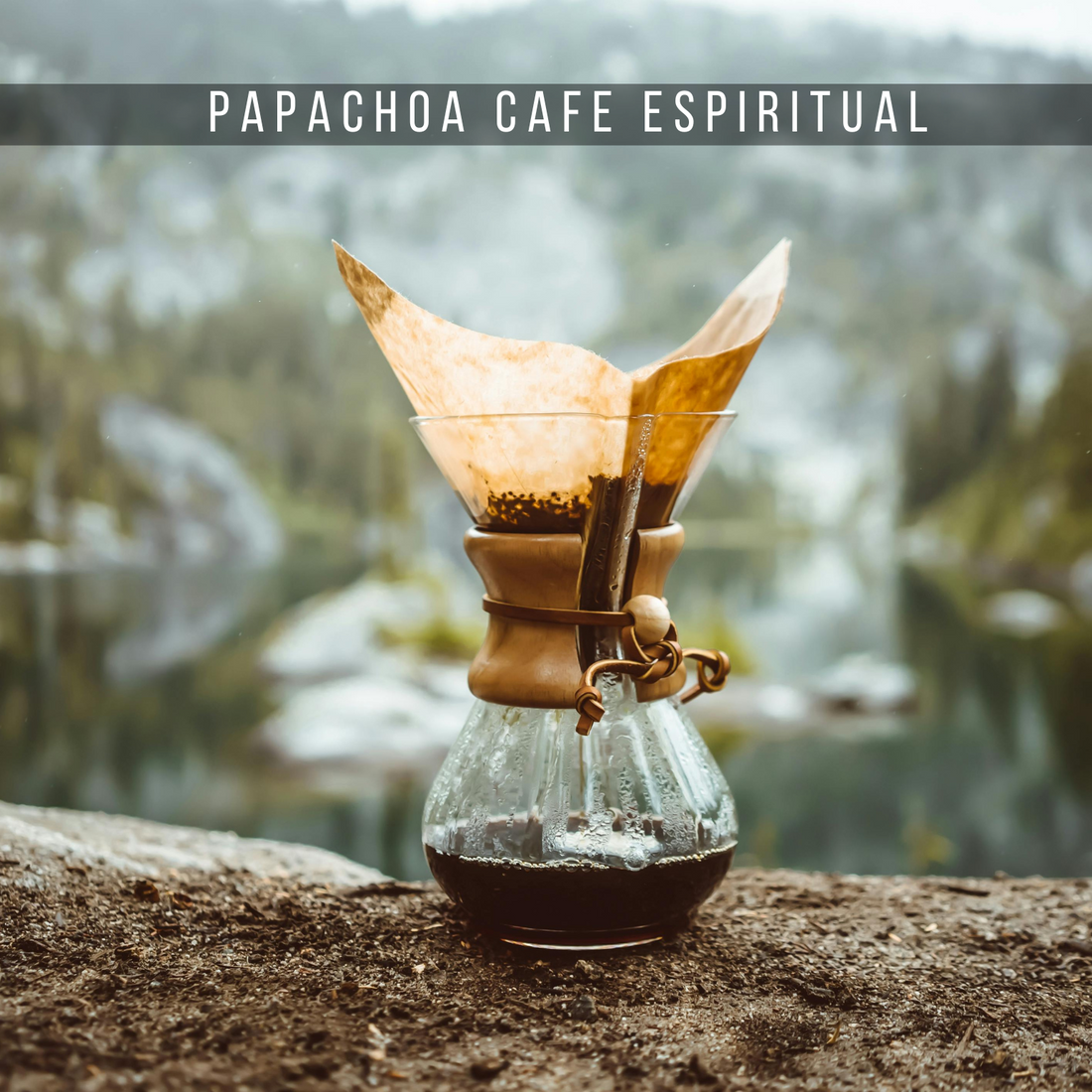 Papachoa Café orgánico y biondíamico de especialidad.